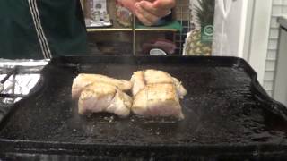 What is Corvina Seabass [upl. by Kcirdneh]