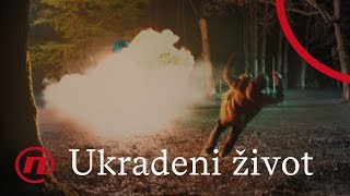 Ukradeni život  finalni tjedni promo 1122019 [upl. by Delilah]