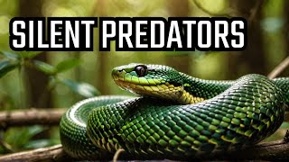 Incredible Snakes You Didnt Know Existed [upl. by Mayce]