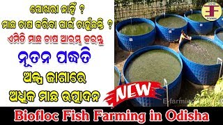 Biofloc fish farming How to start biofloc fish farming profit training [upl. by Adnorhs]