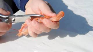 ShrimpsGarnelen putzen leicht gemacht  How to clean prawns [upl. by Ttelrahc]