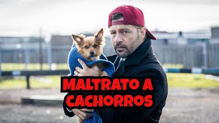 🚨 ¡Indignación en Vigo por brutal maltrato a cachorros Noticias caninas 19102024🐾💔 [upl. by Aldus]