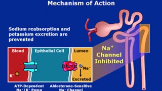 PotassiumSparing Diuretics [upl. by Rekrap970]