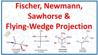 Fischer Newman Sawhorse and FlyingWedge projections [upl. by Gena]