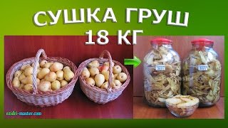 Сушка 18 кг груш в сушилке Изидри на 30 лотках [upl. by Kailey]