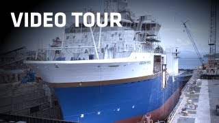 Davie Video Tour [upl. by Bail]