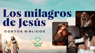 Los Milagros de Jesús  Cortos Bíblicos 💙🙌 Historias de la Biblia [upl. by Fabiolas769]