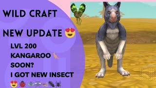 Wild Craft  New Update 🦘😍  Level 200 Kangaroo [upl. by Certie]