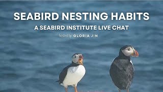 Seabird Nesting Habits  Explore Live Events [upl. by Takakura]