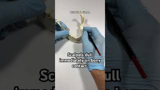 Best Practice for Scalpel Blades  OnlineExodontiacom dentaltips oralsurgery exodontia [upl. by Suivatnod]