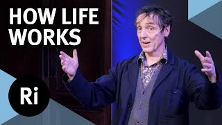 What is life and how does it work  with Philip Ball [upl. by Nerak]