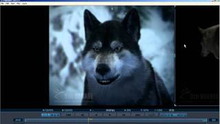 PDPLAYER  7 Masks Exporting Movies video tutorial  Chris Nichols [upl. by Goldfinch]