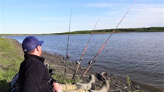 How to Catch MORE Catfish Bank Fishing [upl. by Favrot]