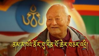 Origin of Tibetan Script and Shangchung ཆོས་རྒྱལ་ནམ་མཁའི་ནོར་བུ་རིན་པོ་ཆེ་ལ་དམིགས་བསལ་བཅར་འདྲི། [upl. by Mercado]