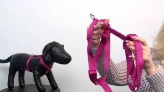 Nylon Dog Harness by Zack amp Zoey  Raspberry Sorbet [upl. by Aihseken]