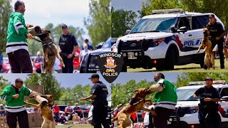 Police K9 Units  Takedowns  Windsor Police  Dog Show  2024 [upl. by Odama651]