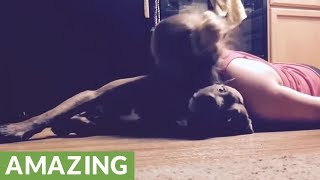 Clever service dog amazingly protects owners head during seizure [upl. by Tilney]