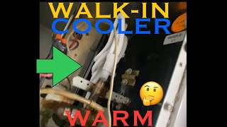 WalkIn CoolerWARM [upl. by Ybhsa]