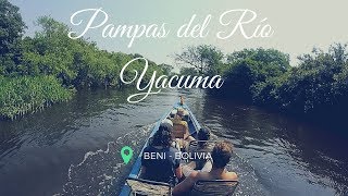 Pampas del Yacuma  Tour 3D2N [upl. by Aihsiek234]