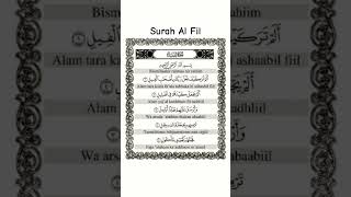 surah alfil shorts fyp shorts islam muslim salimbahanan fyp [upl. by Dunaville]