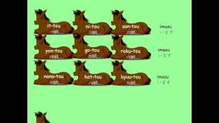 JLPT N5 Module 7 Vocab Japanese counter tou song [upl. by Yarrum]