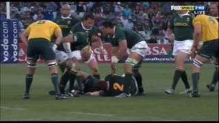 South Africa Rugby Tribute [upl. by Ahouh]