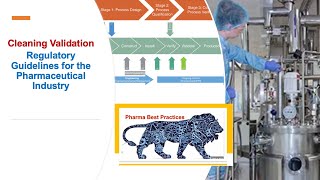 Cleaning Validation Regulatory Guidelines for the Pharmaceutical Industry [upl. by Eirameinna]