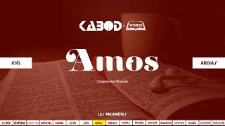 « Amos » LAncien Testament  La Sainte Bible audio VF Complète [upl. by Yenatirb]