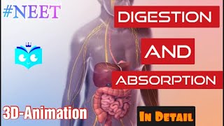 Digestion and Absorption part 1  Biology Endgame  class 11 NEET 2023 amp 2024  Study animated [upl. by Colet]