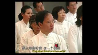 Yang Style Tai Chi 85 Forms Master Zhao Youbin Part 10 [upl. by Paver]