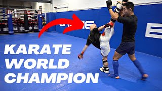 Pro MMA Fighter vs Karate World Champion Breakdown [upl. by Gabel]