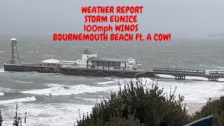 STORM EUNICE  EARLY MORNING TOUR SANDBANKS  BOURNEMOUTH Ft FLOODS HURRICANES amp A CHEEKY COW [upl. by Benjamen]