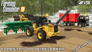 Building JENZ stationary wood chipper  Forestry on Geiselsberg  Farming Simulator 19  Episode 19 [upl. by Zigrang]