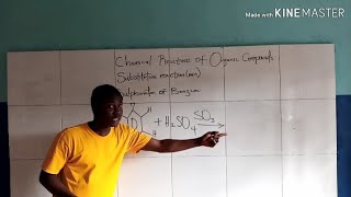 Sulphonation of Benzene  substitution reaction [upl. by Sivrup616]