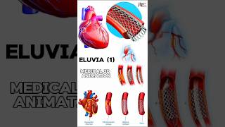 Eluvia medical animation 3d short  BiologywithAliya [upl. by Akinal]