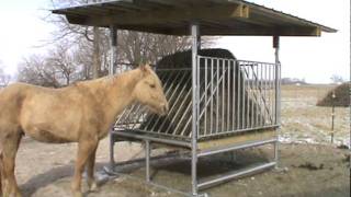 Klene Pipe Structures Hay Saver Feeder for Horses [upl. by Leonor]