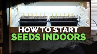 Seed Starting Indoors Under Grow Lights 101 [upl. by Hsirehc]