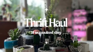 2 Hour Long Thrift Haul amp Succulent Tour with Repot 🤍 [upl. by Ahtabat]