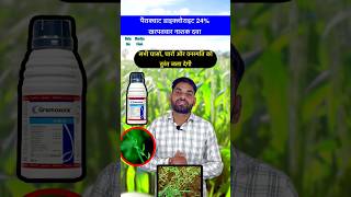 सभी खरपतवारों को जलाने वाली चरामार दवा  Paraquat dichloride 24 sl  shorts herbicide farmer [upl. by Alyosha]