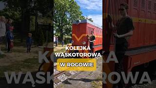 Kolejka Wąskotorowa w Rogowie woj łodzkie [upl. by Artur]