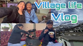 Snowless Mountain  winter life in Kinnaur  Dolma Rani  vlog viral village winter [upl. by Swenson]