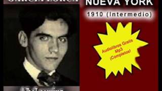 Audiolibros gratis mp3  AlbaLearning  1910  Poeta en Nueva York  Lorca  Poemas Videolibro [upl. by Nohshan242]