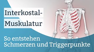 Interkostalmuskulatur Schmerzen Triggerpunkte und deren Aktivierung [upl. by Torr625]