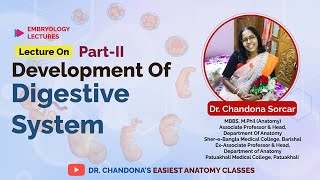 Lecture on development of the digestive system part II [upl. by Eenafets]