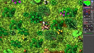 Tibia Tutorial Panda Mount  Bamboo Leaves  Music Box   HD [upl. by Greenebaum494]