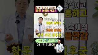 항문 농양 ㅣ 분당치질 유튜버 치열항문농양 [upl. by Odlanier212]