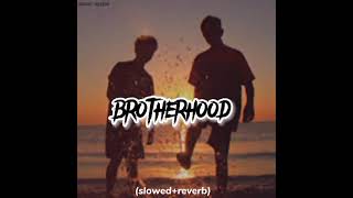 brotherhood song slowed and reverb trend fypシ 1 mujtaba jutttypist 100k vairalvideo [upl. by Jos765]