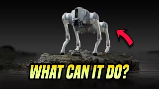 Exploring Robotic Capabilities Unleashing the Power of Robot Dogs with Unitrees Insights [upl. by Ahsema]