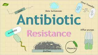 Antibiotic Resistance Mechanism  Bacterial Defense Mechanism  Basic Science Series [upl. by Crin260]