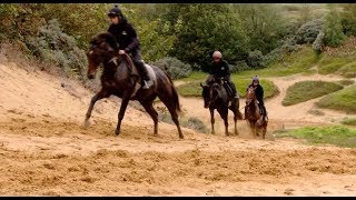 An amazing place to train racehorses [upl. by Tigirb117]